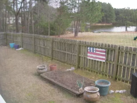 299 Bear Oak Dr, Smithfield, NC 27577 photo 5