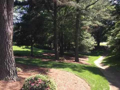 6304 Wakefalls Dr, Wake Forest, NC 27587 photo 2