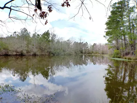693 Ivey Rd, Benson, NC 27504 photo 4