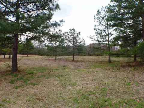 693 Ivey Rd, Benson, NC 27504 photo 1