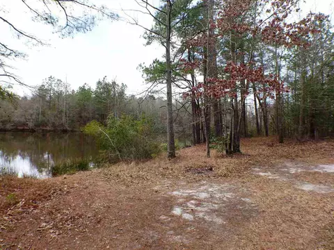 693 Ivey Rd, Benson, NC 27504 photo 3