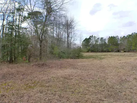 693 Ivey Rd, Benson, NC 27504 photo 2