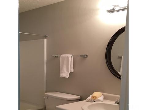 1410 Big Leaf Loop, Apex, NC 27502 photo 15