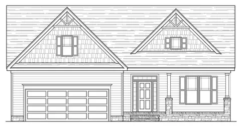9809 Bitter Melon Dr, Angier, NC 27501 photo 1