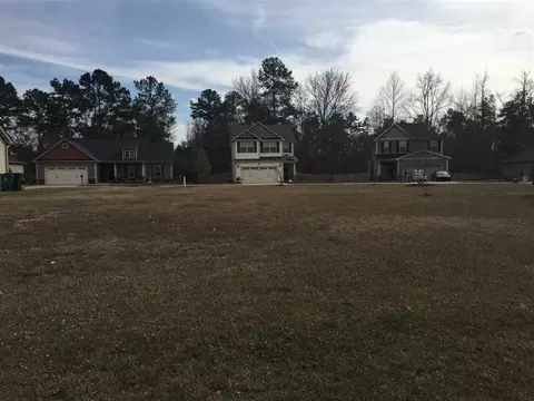 9809 Bitter Melon Dr, Angier, NC 27501 photo 6