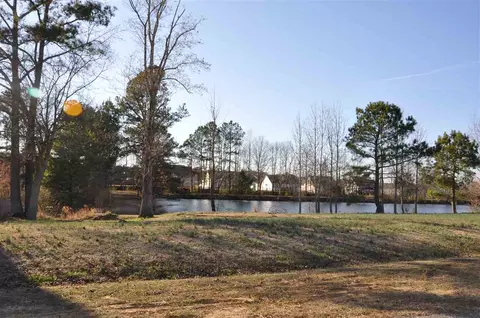 57 Drop Seed Ln, Smithfield, NC 27577 photo 10