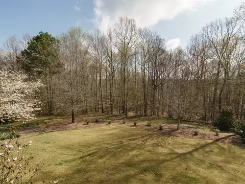 1729 Shell Cracker Dr, Willow Spring, NC 27592 photo 22