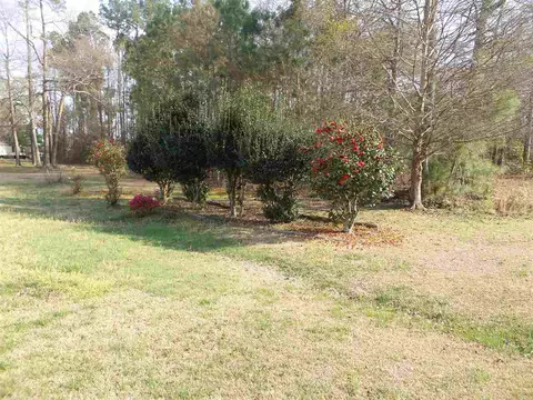 432 Old Lee Rd, Willow Spring, NC 27592 photo 23
