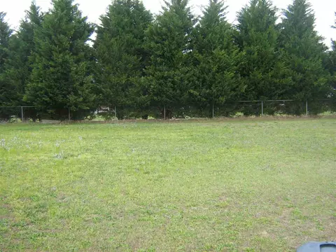 91 Hillcrest Dr, Willow Spring, NC 27592 photo 5
