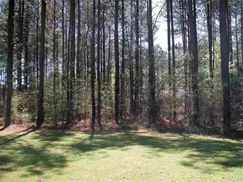 56 Maple Leaf Ln, Smithfield, NC 27577 photo 4