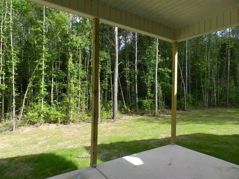 105 Saylor Ridge Ln, Willow Spring, NC 27592 photo 3