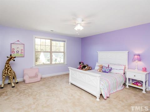 8337 Yellow Aster Ct, Willow Spring, NC 27592 photo 17