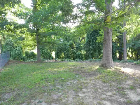 413 Rolling Ridge Ct, Benson, NC 27504 photo 18