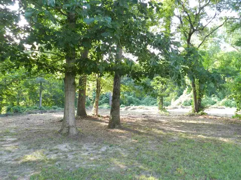 413 Rolling Ridge Ct, Benson, NC 27504 photo 16
