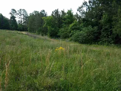 13386 Buck Rd, Middlesex, NC 27557 photo 3