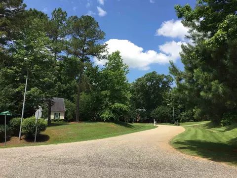 1101 Hammerman Dr, Willow Springs, NC 27592 photo 7