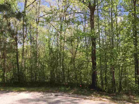 1101 Hammerman Dr, Willow Springs, NC 27592 photo 4