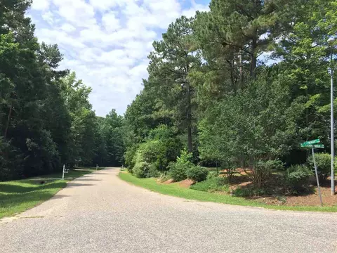 1101 Hammerman Dr, Willow Springs, NC 27592 photo 6