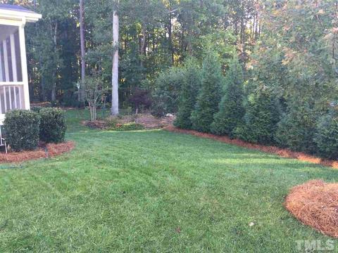 3015 Red Grape Dr, Raleigh, NC 27607 photo 25
