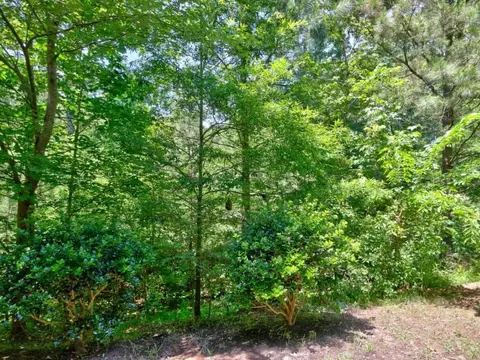 2632 Wyntercrest Ln, Durham, NC 27713 photo 21