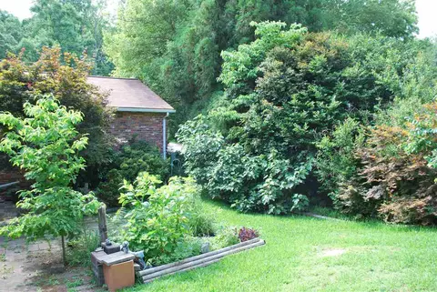 3532 Apache Dr, Raleigh, NC 27609 photo 4