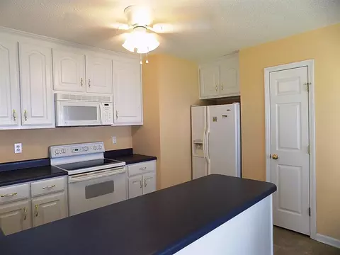 177 Tralee Dr, Smithfield, NC 27577 photo 10