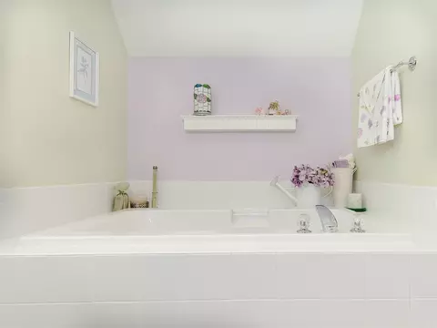 1329 Pendula Path, Apex, NC 27502 photo 16