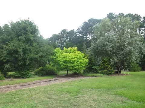 1540 Honeycutt Rd, Willow Spring, NC 27592 photo 14