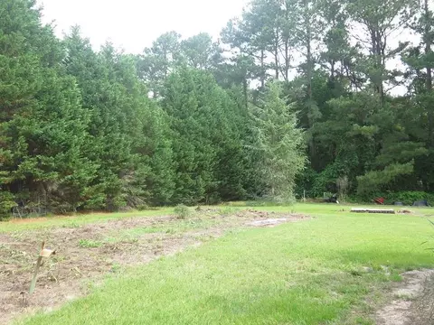 1540 Honeycutt Rd, Willow Spring, NC 27592 photo 15