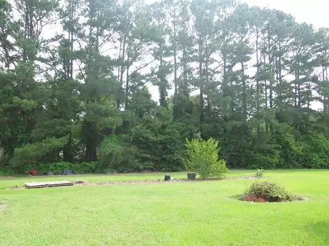 1540 Honeycutt Rd, Willow Spring, NC 27592 photo 16
