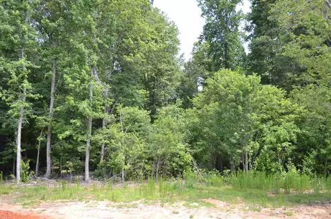 205 Bornean Dr, Garner, NC 27529 photo 25