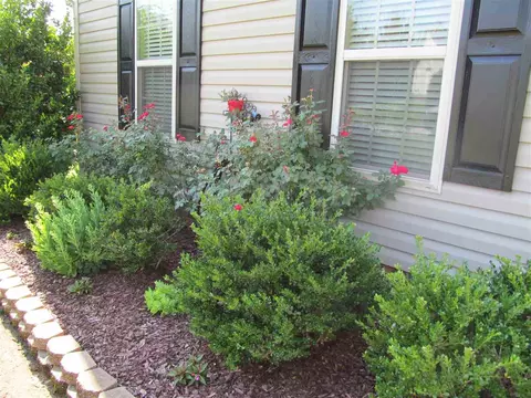 206 Edinburgh St, Stem, NC 27581 photo 23