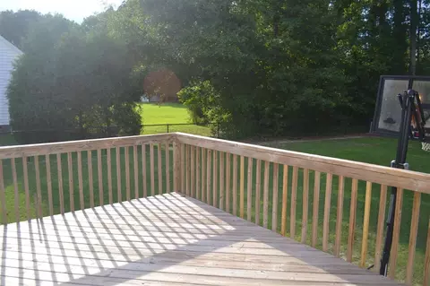 113 Coaster Ct, Angier, NC 27501 photo 22