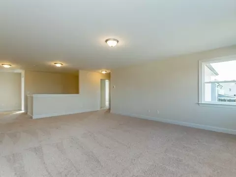 1628 Black Spruce Way, Willow Spring, NC 27592 photo 15