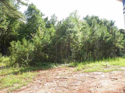 2925 Eric St, Willow Spring, NC 27592 photo 6