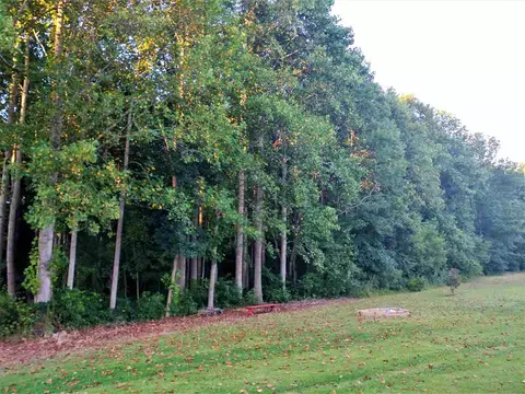 20 Trusting Ln, Middlesex, NC 27557 photo 9
