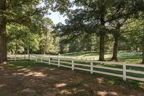 8446 Seven Paths Rd, Spring Hope, NC 27882 photo 24