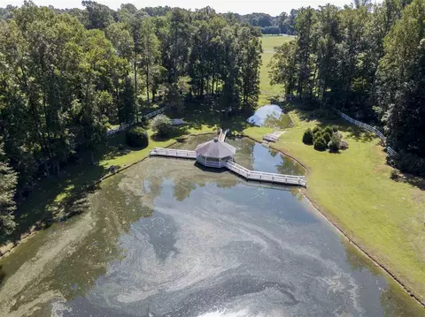 8446 Seven Paths Rd, Spring Hope, NC 27882 photo 22