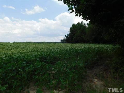 250 Old Bailey Rd, Middlesex, NC photo 1