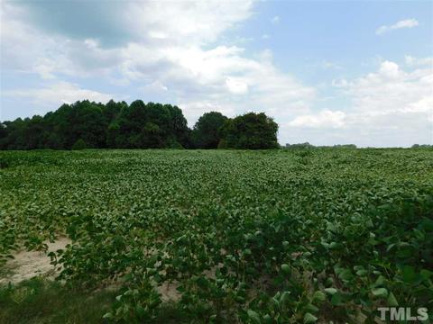 250 Old Bailey Rd, Middlesex, NC photo 13