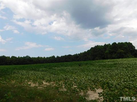 250 Old Bailey Rd, Middlesex, NC photo 12