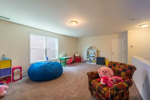 902 Shoofly Path, Apex, NC 27502 photo 22