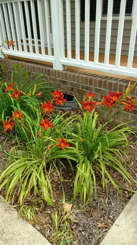 258 Ridge Dr, Garner, NC 27529 photo 25