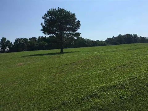 2412 Eddie Howard Rd, Willow Springs, NC 27592 photo 2