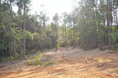 94 Bethany Cir, Angier, NC 27501 photo 22