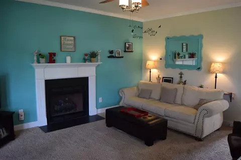 430 Spruce Meadows Ln, Willow Spring, NC 27592 photo 8