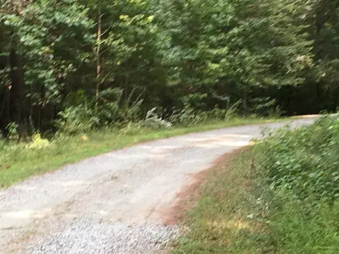 287 E Hawfields Rd, Pittsboro, NC 27312 photo 9