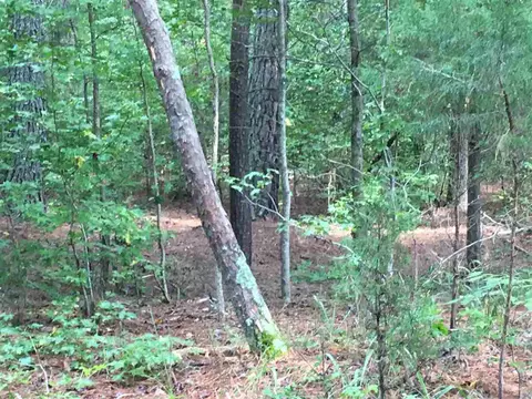287 E Hawfields Rd, Pittsboro, NC 27312 photo 12