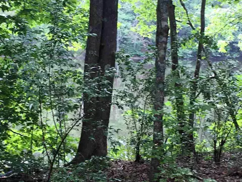 287 E Hawfields Rd, Pittsboro, NC 27312 photo 1