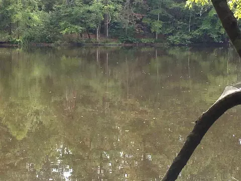 287 E Hawfields Rd, Pittsboro, NC 27312 photo 14